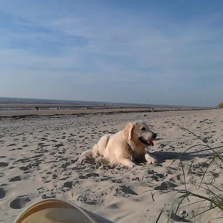 La Marquisette Casa de Férias Le Touquet